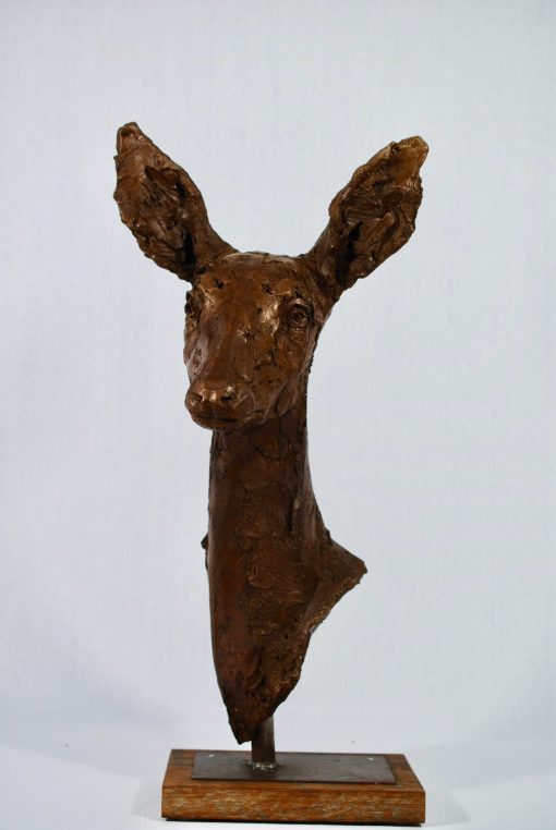 Holly Hickmore, Portrait of Roe Deer Buck 1
