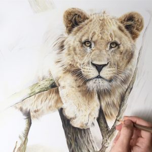 Drawing Animals in Coloured Pencils (children's workshop) 3
