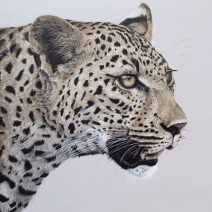Painting Wildlife with Acrylics 1