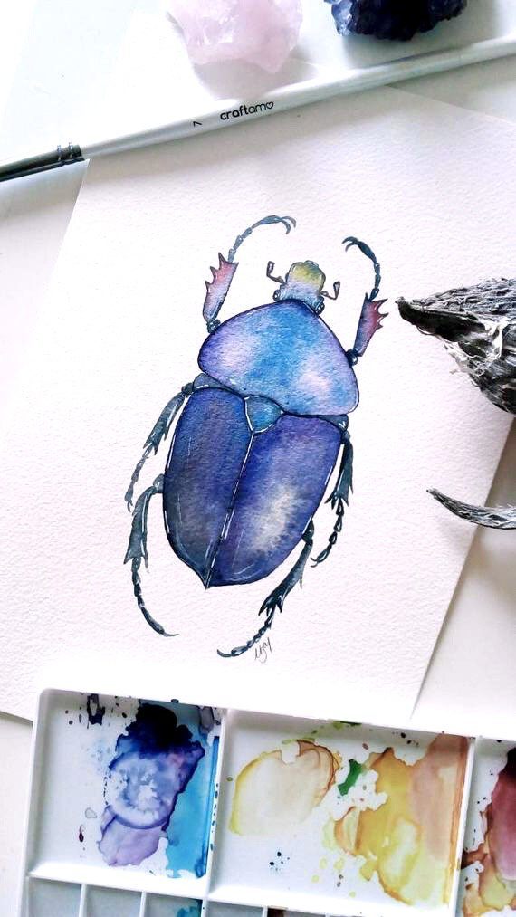 Children's Half Term Workshop - Painting Beetles & Bugs in Watercolour