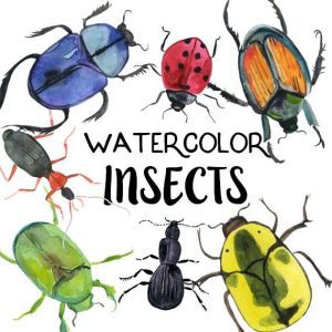 Children's Half Term Workshop - Painting Beetles & Bugs in Watercolour 1