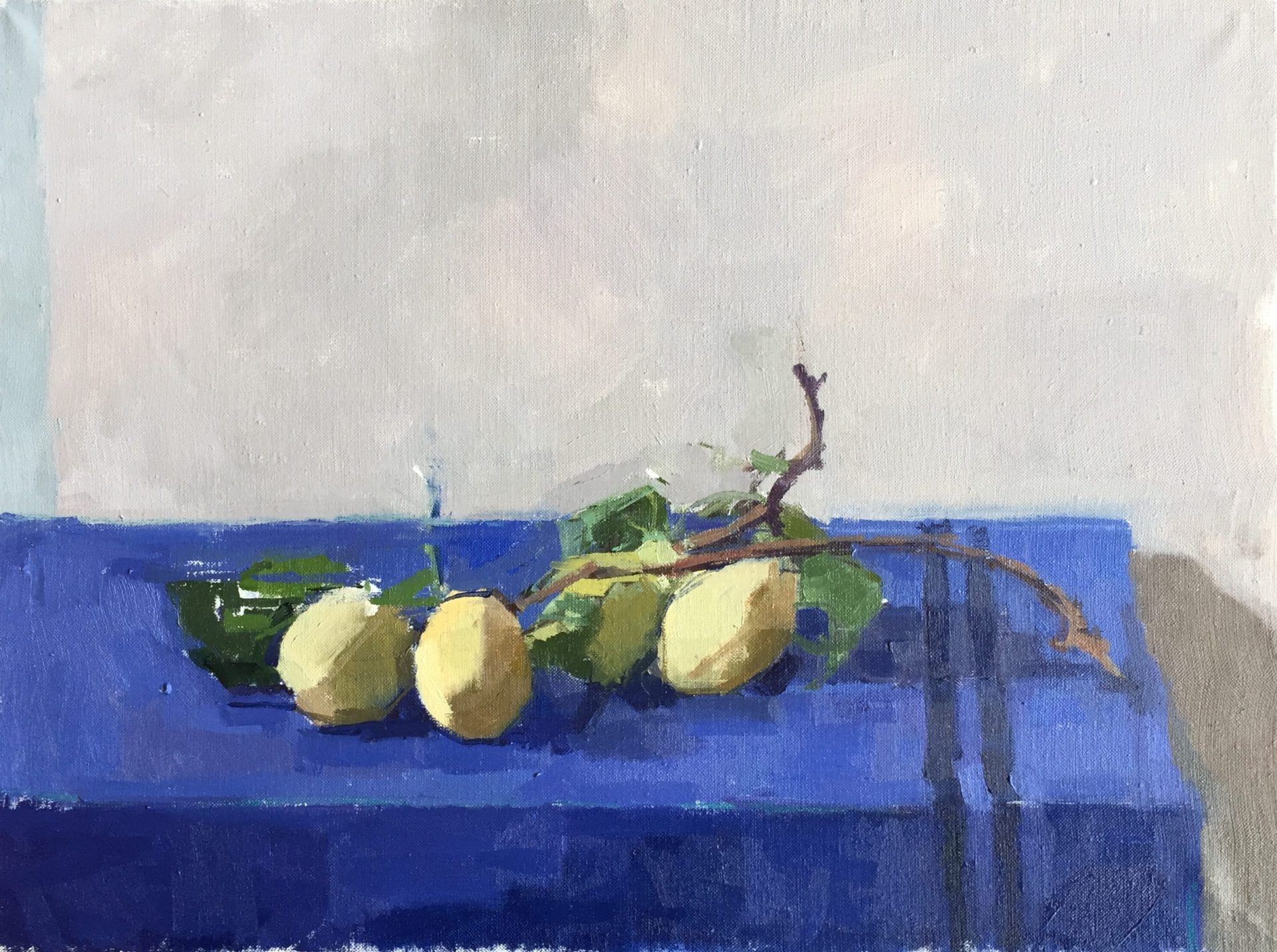 Simply Looking - Still Life Painting with Sarah Spackman