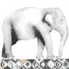 Beatrice Forshall, Indian Elephant 3