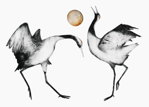 Print Maker focused on species and themes central to conservation. Specialising in dry point engraving. Animals and the natural world. Beatrice Forshall, Japanese Cranes, Print, £1,800