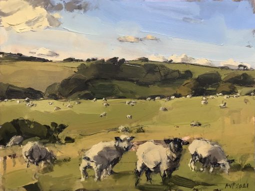 Anna Pinkster, Sheep, South Downs 1