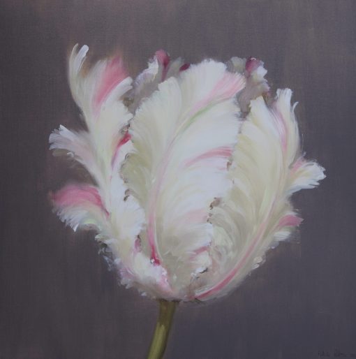 Joyous celebration of wildlife, vibrant wild flower meadows, gardens or trees pobserved bird. Still life floral and botanical painter working in Oil on Canvas. Fletcher Prentice, Parrot Tulip Study I Tulip Study, 60cm x 60cm, Oil on Canvas