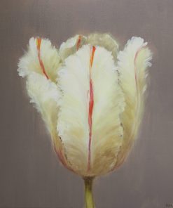 Joyous celebration of wildlife, vibrant wild flower meadows, gardens or trees pobserved bird. Still life floral and botanical painter working in Oil on Canvas. Fletcher Prentice, Parrot Tulip Study I Tulip Study, 60cm x 60cm, Oil on Canvas