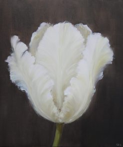Fletcher Prentice, Tulip Study, 60cm x 60cm, Oil on Canvas Joyous celebration of wildlife, vibrant wild flower meadows, gardens or trees pobserved bird. Still life floral and botanical painter working in Oil on Canvas.