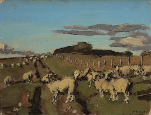 Anna Pinkster, Sheep Southdowns, October V 1