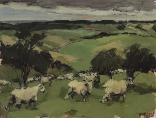 Anna Pinkster, Sheep Southdowns, August IV 1