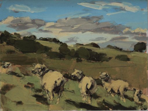 Anna Pinkster, Sheep Southdowns,September II 1