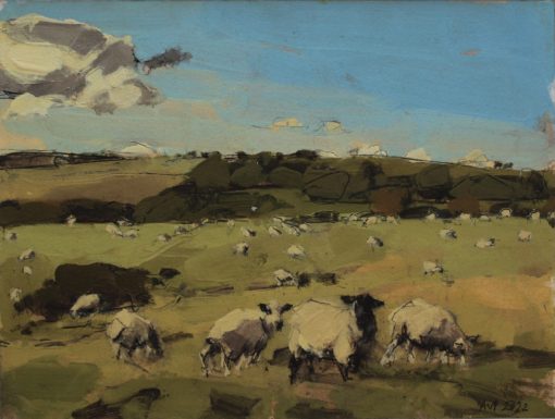Anna Pinkster, Sheep Southdowns, October III 1