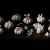 Benedict Ramos, Garlic Bulbs Limited edition signed Print 2