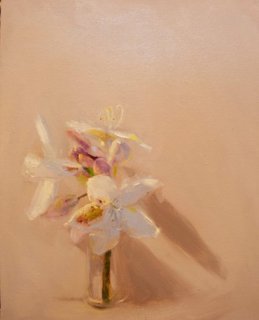 Felicity Starr, A Rhododendron Branch 1
