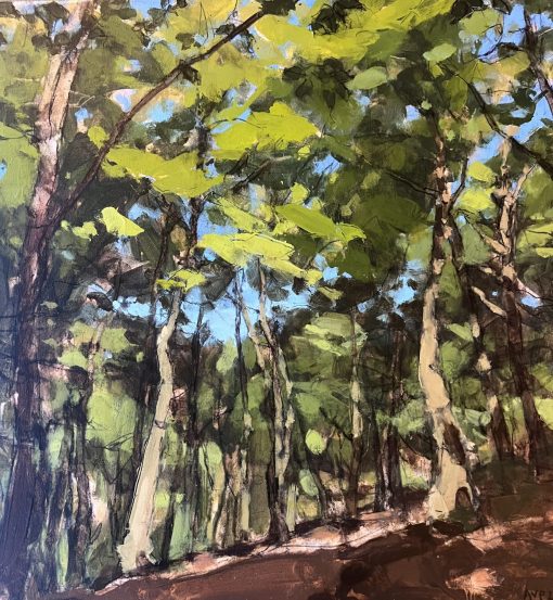 Anna Pinkster, Beacon Hill Wood, July 1