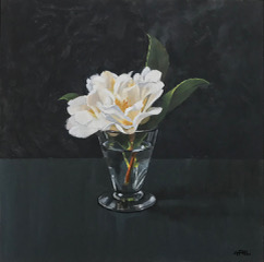 Gilly Lovegrove, Spring Camellia 1