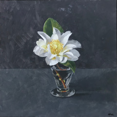 Gilly Lovegrove, White Camellia 1