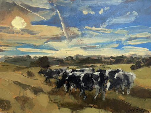 Anna Pinkster, Somerset Cows, early morning July II 1