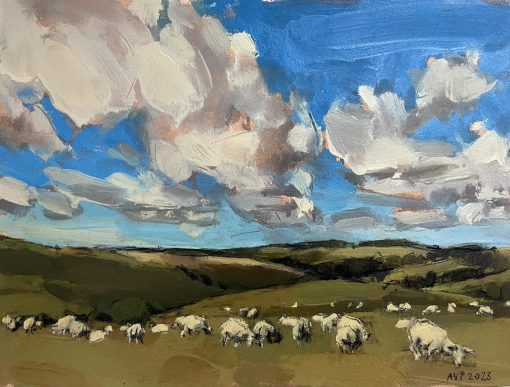 Anna Pinkster, Sheep South Downs, July II 1
