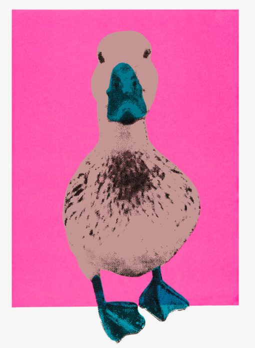 Charlotte Gerard, In the Pink (Screenprint) 1